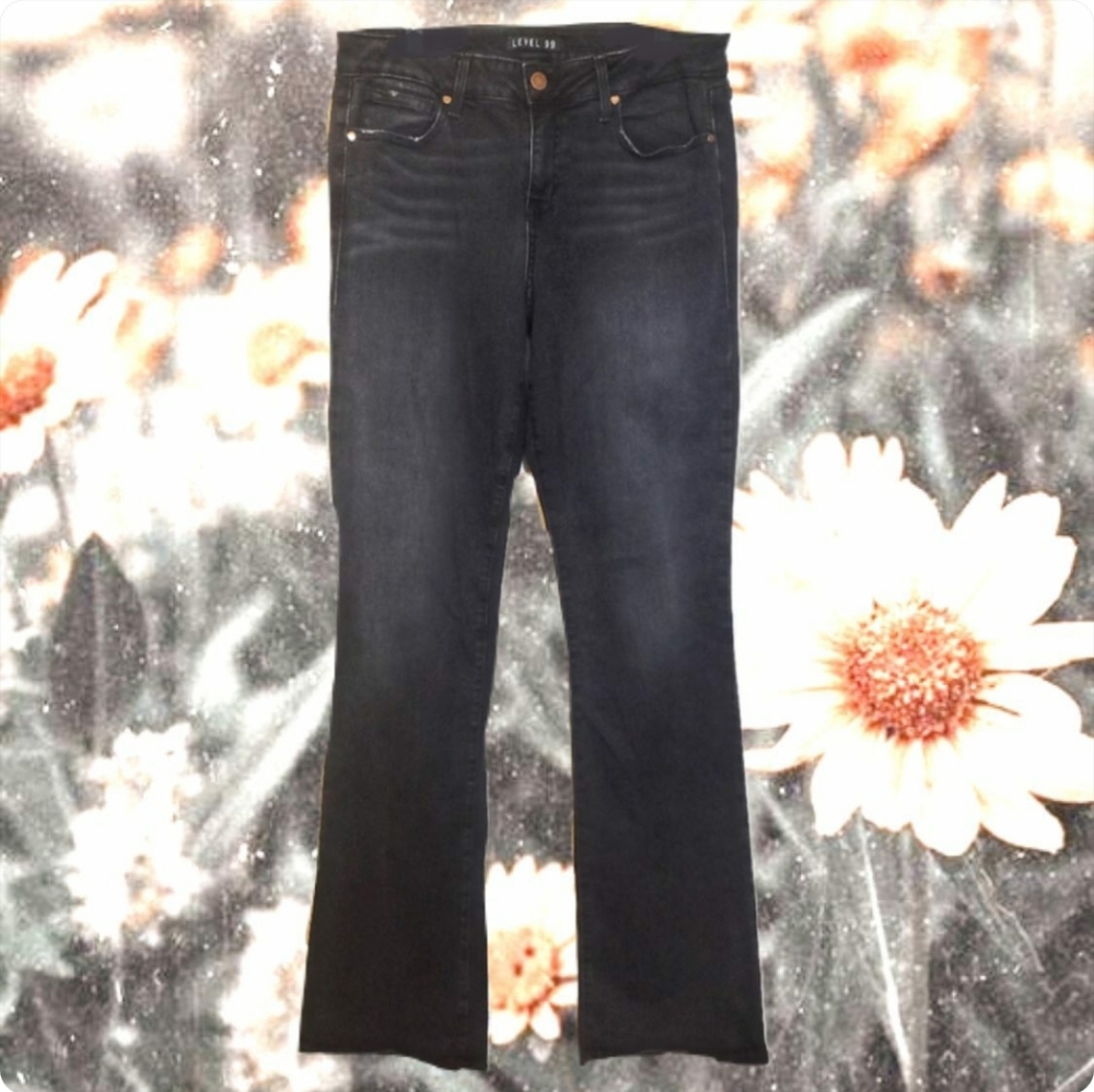 Level 99 Anthropologie Skinny Bootcut Parkside 32